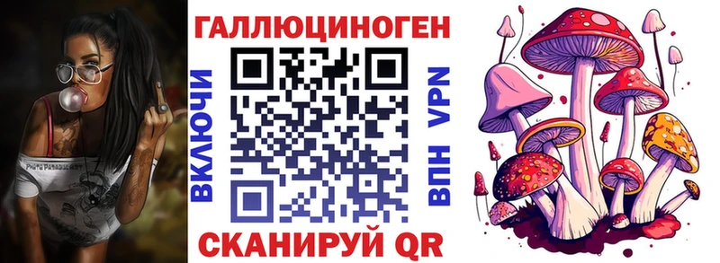 Галлюциногенные грибы Psilocybe  купить закладку  Стрежевой 